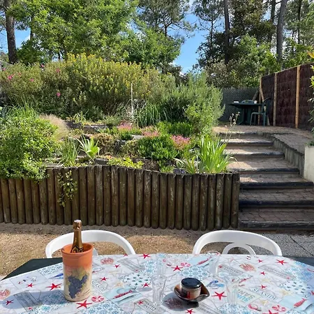 Holiday home Maison De Avec Piscine, Terrasse Et Coin Detente En Foret, Proche Plage! - Fr-1-323-486 *